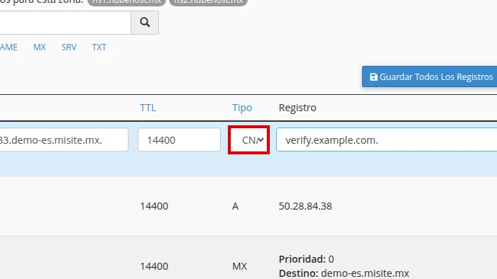 Elige el tipo CNAME en Editor de Zonas