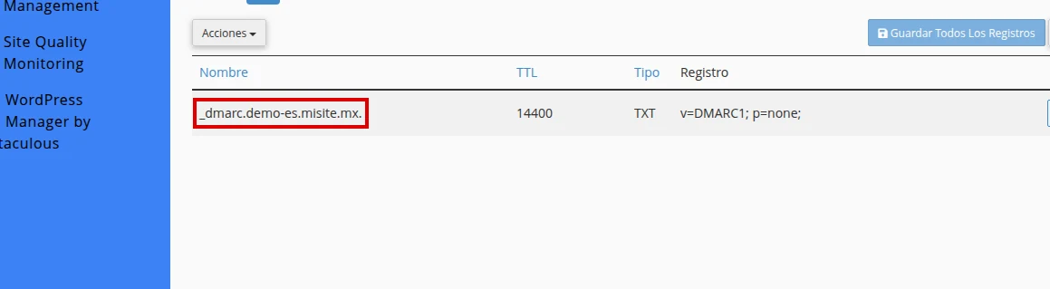 Registro DMARC existente en Editor de Zonas
